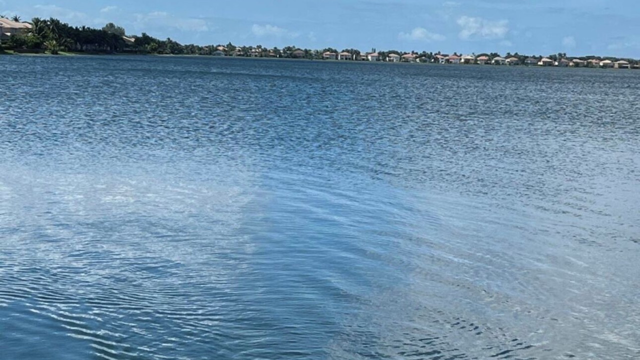 Photo of Others in Miramar
