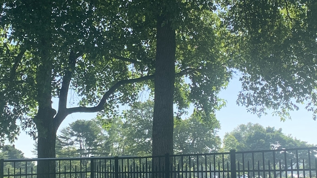 Photo of Others in Chestertown