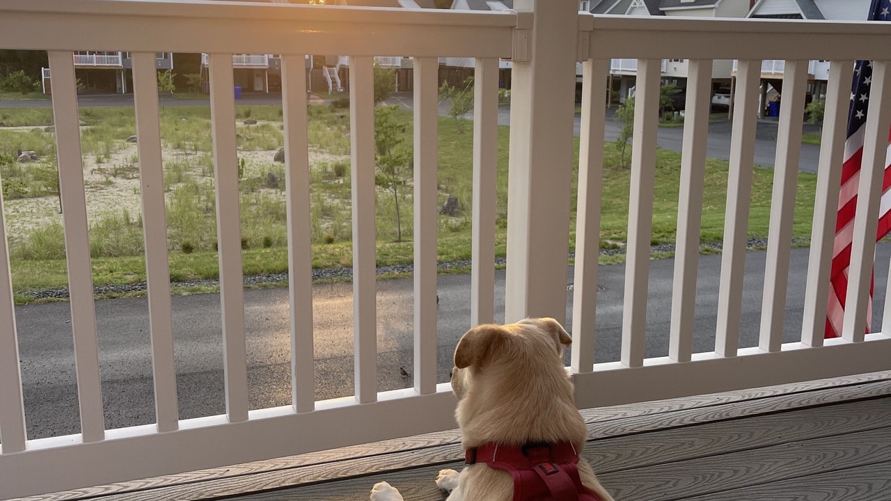 Photo of Outdoor in Cedar Neck