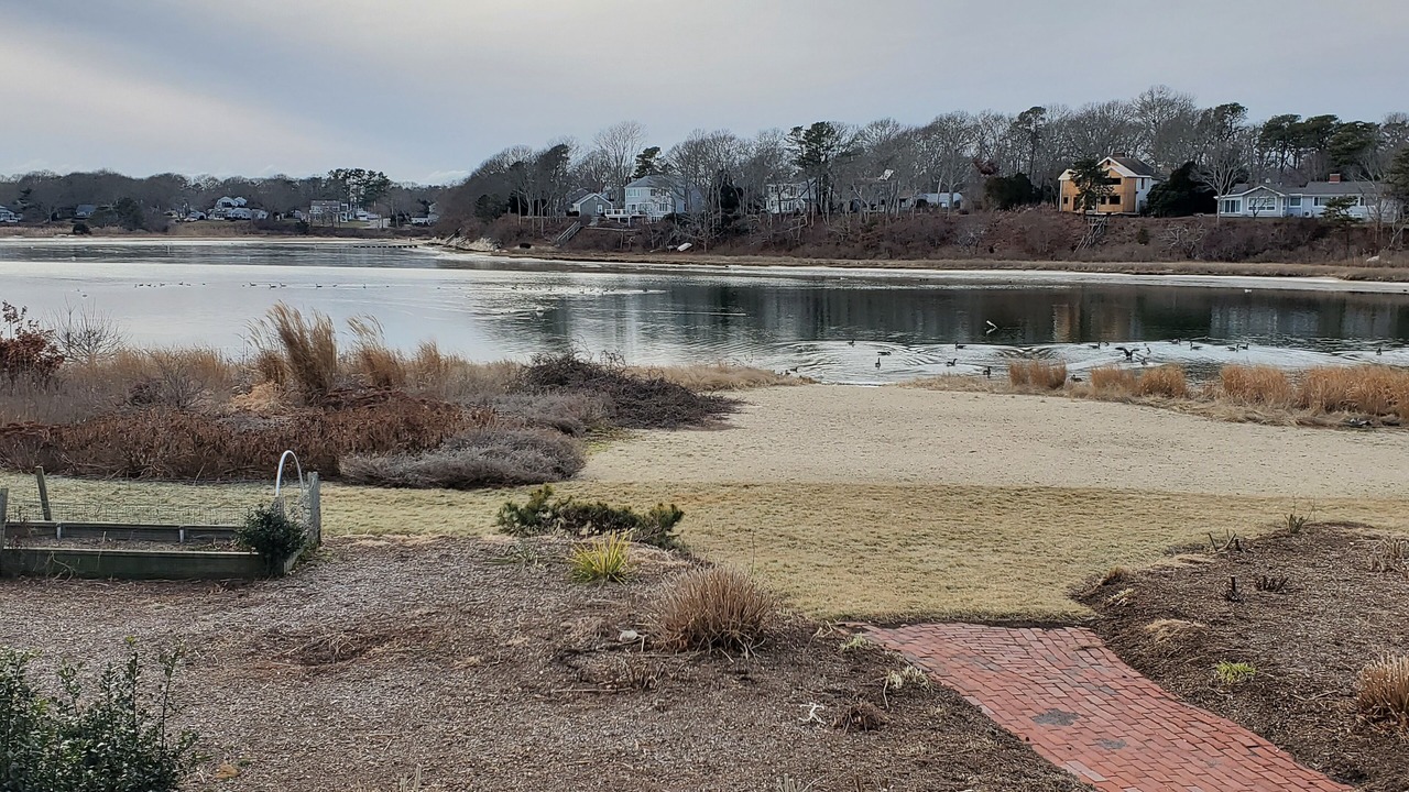 Photo of Outdoor in East Falmouth