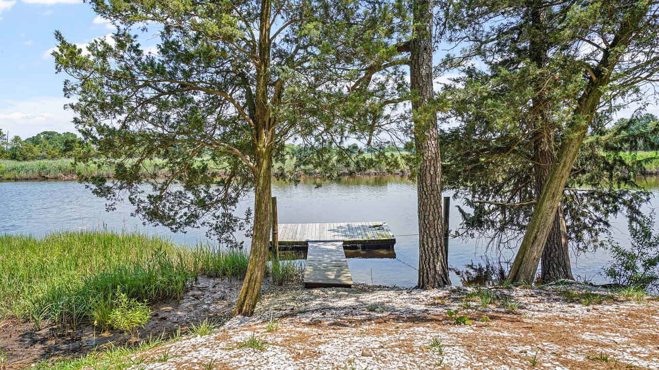 Photo of Outdoor in Temperanceville