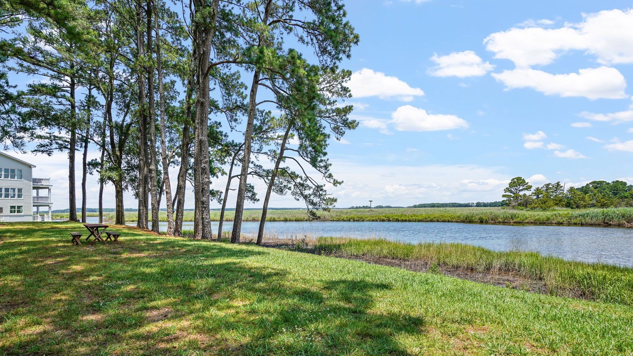Photo of Outdoor in Temperanceville