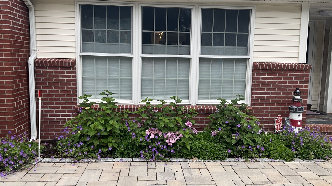 Photo of Outdoor in Northwest Harwich