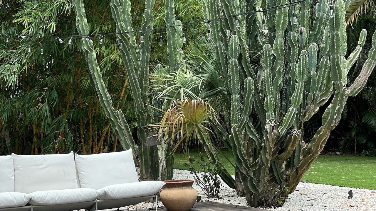 Photo of Patio Balcony in Croissant Park