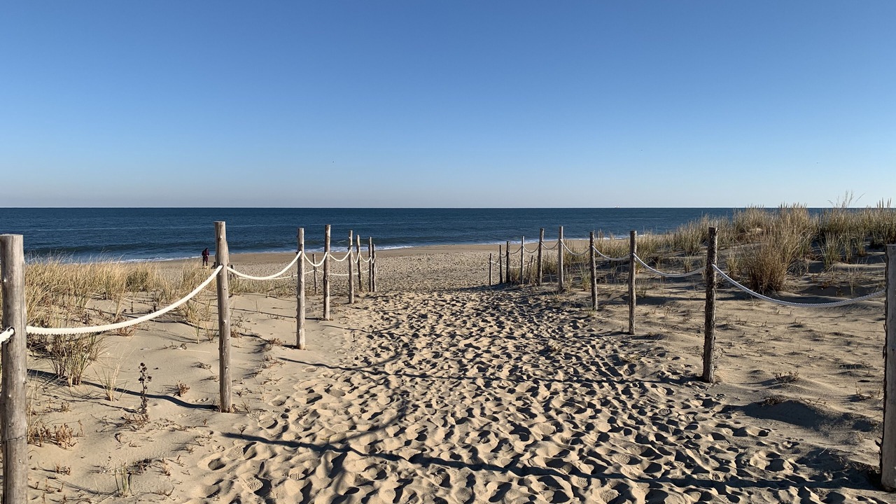 Photo of Others in South Rehoboth