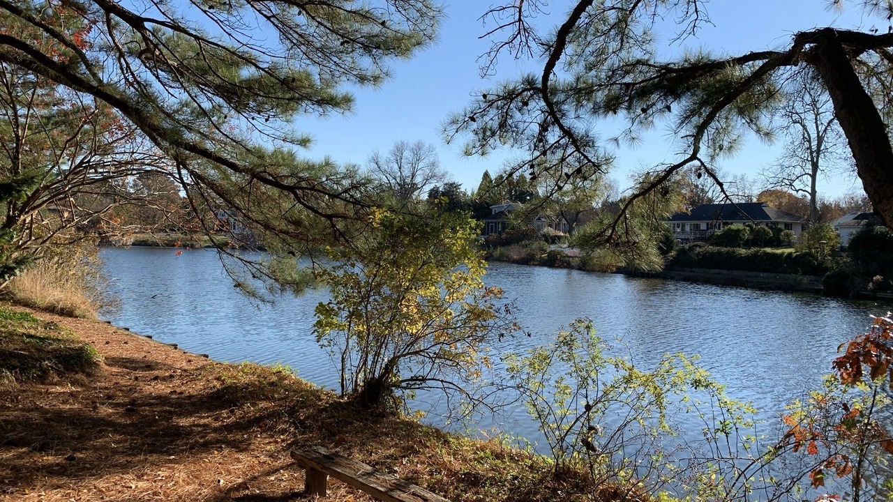 Photo of Outdoor in South Rehoboth