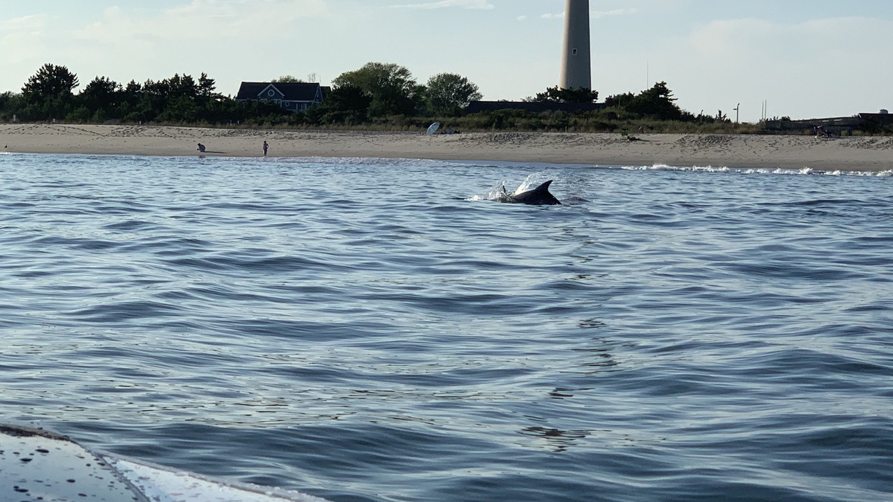 Photo of Outdoor in North Wildwood