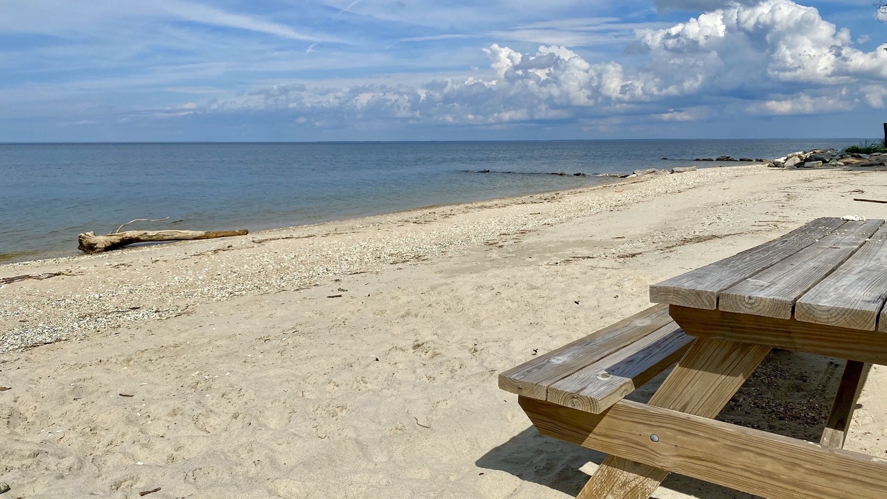 Photo of Others in Calvert Beach-Long Beach
