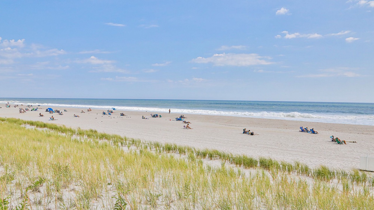 Photo of Others in Ortley Beach