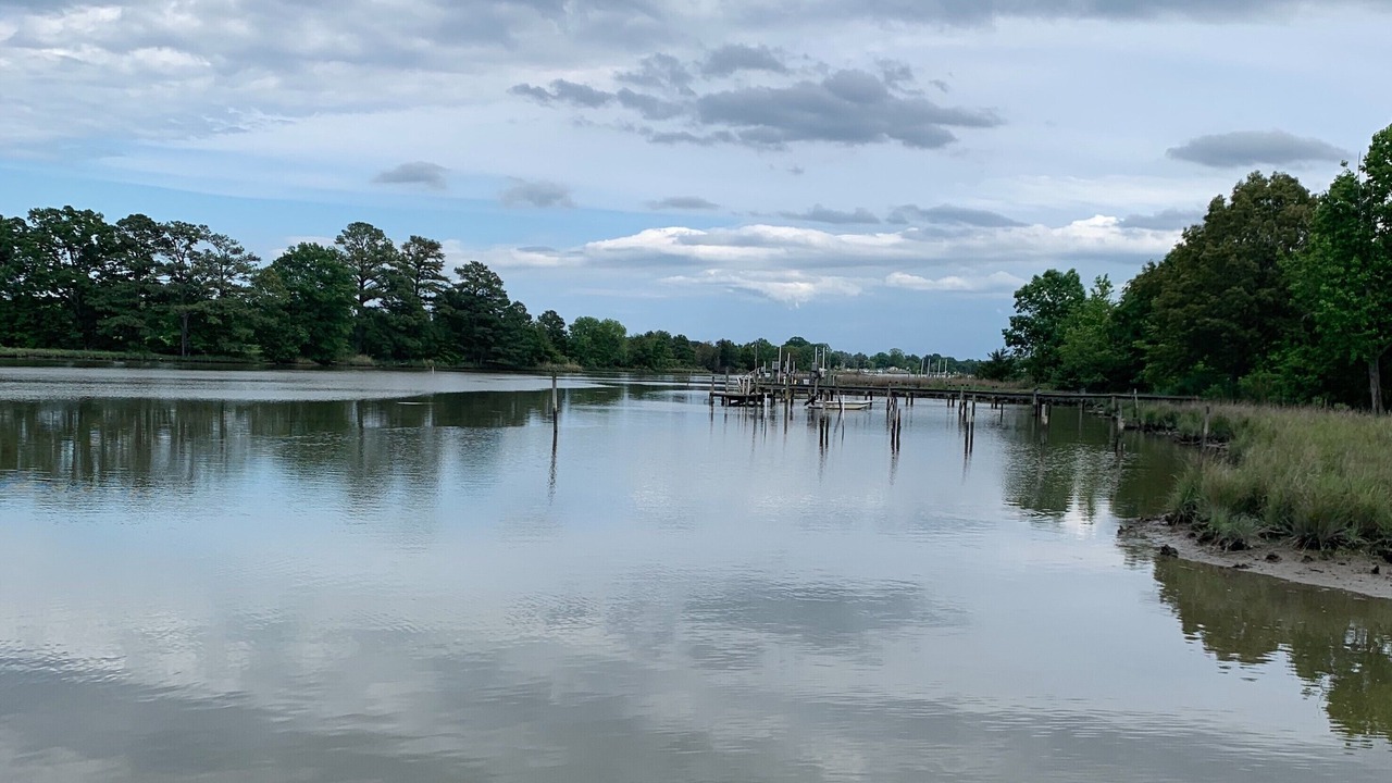Photo of Outdoor in Sharps