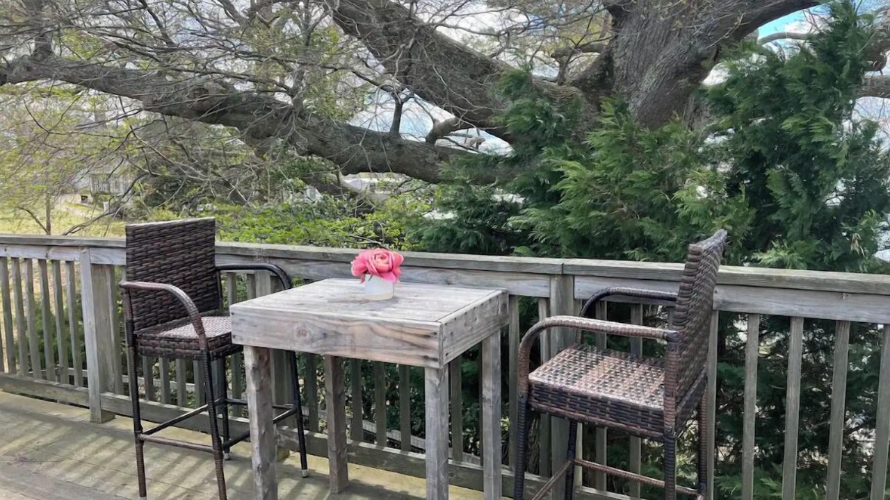 Photo of Outdoor in Colonial Beach