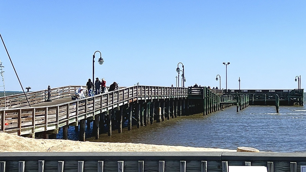 Photo of Others in North Beach
