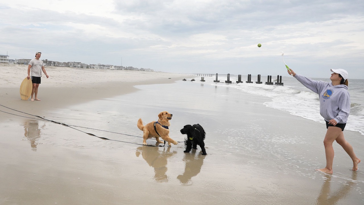 Photo of Others in North Cape May