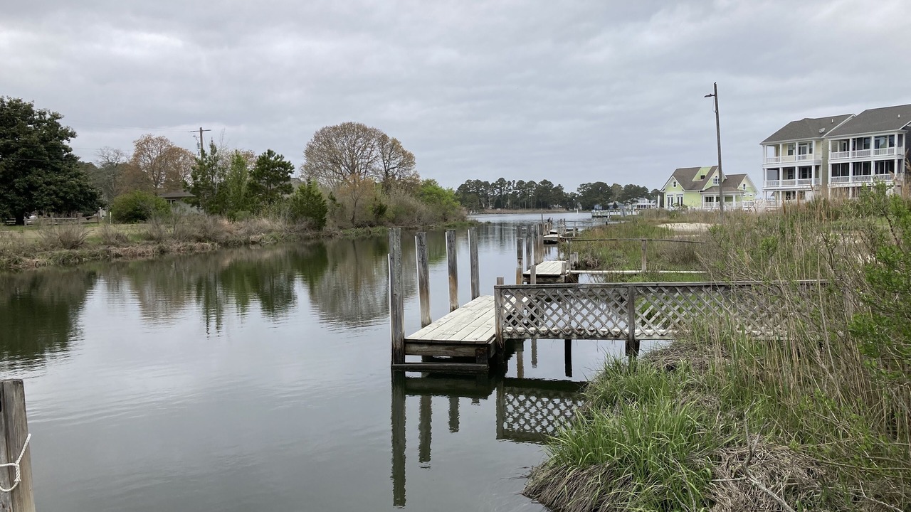 Photo of Others in Ocean View