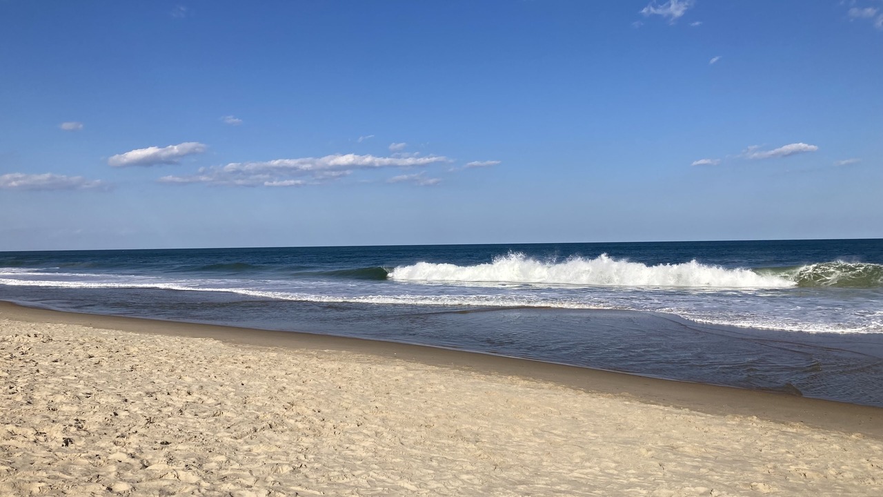 Photo of Others in Ocean View