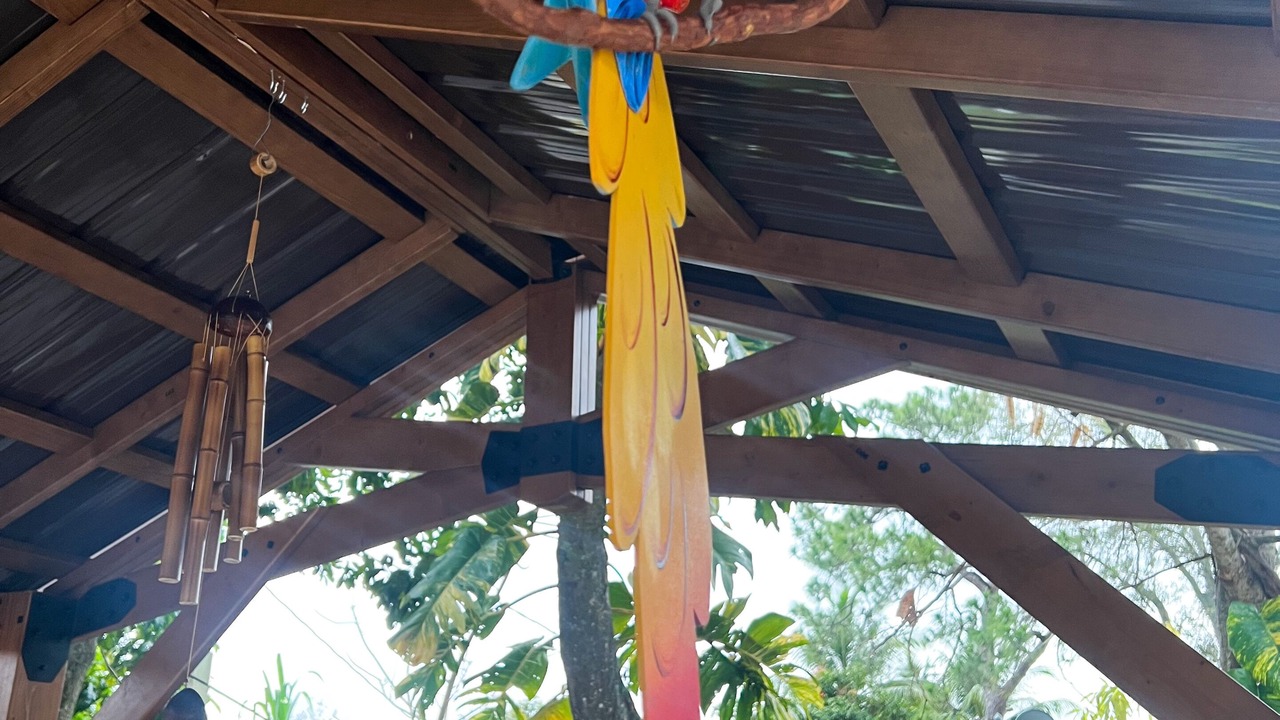 Photo of Outdoor in Fort Lauderdale