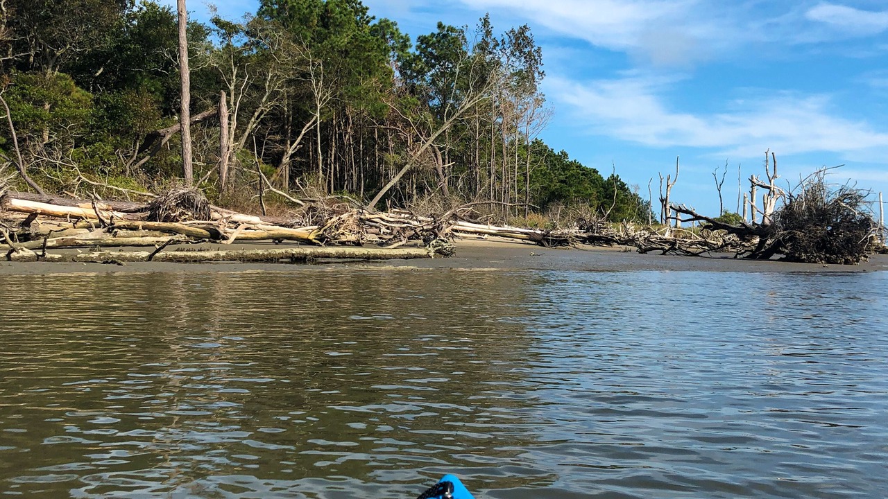 Photo of Others in Chincoteague