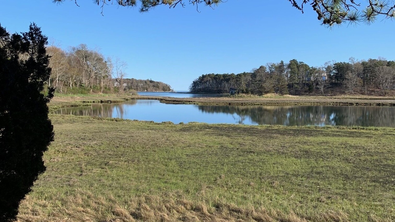 Photo of Outdoor in East Orleans