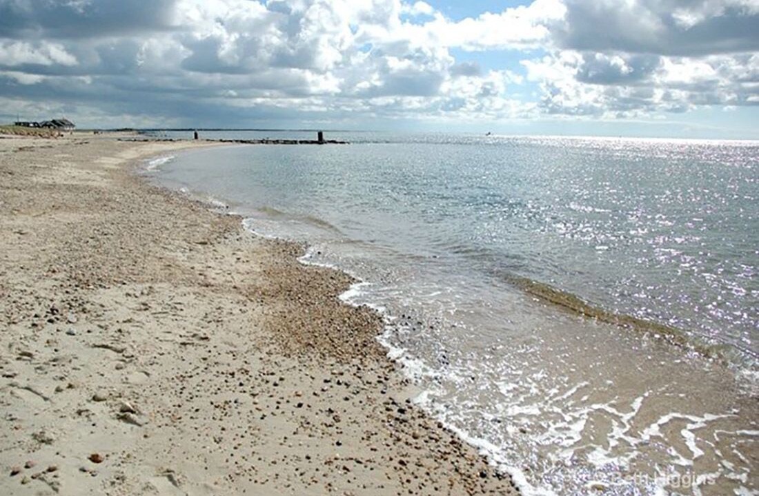 Photo of Others in East Falmouth