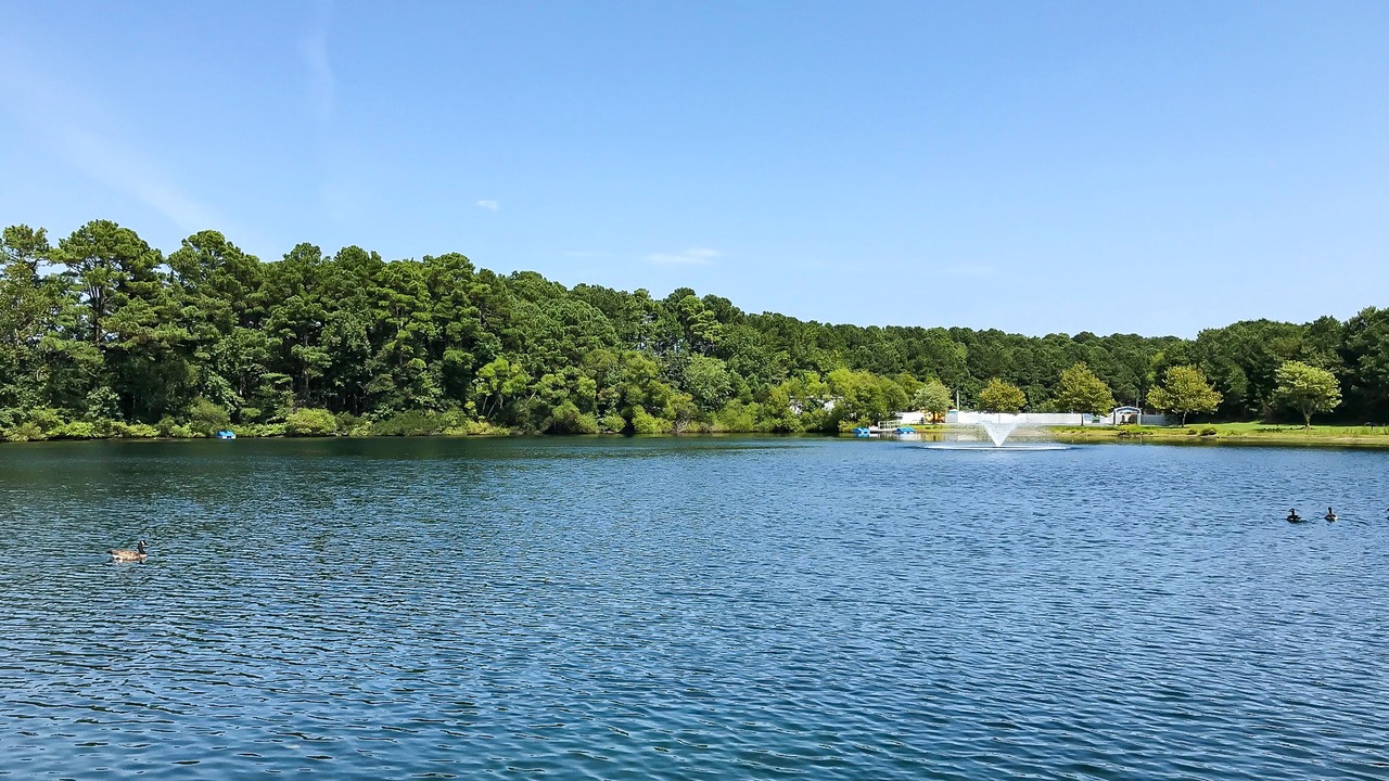 Photo of Outdoor in Assateague Pointe