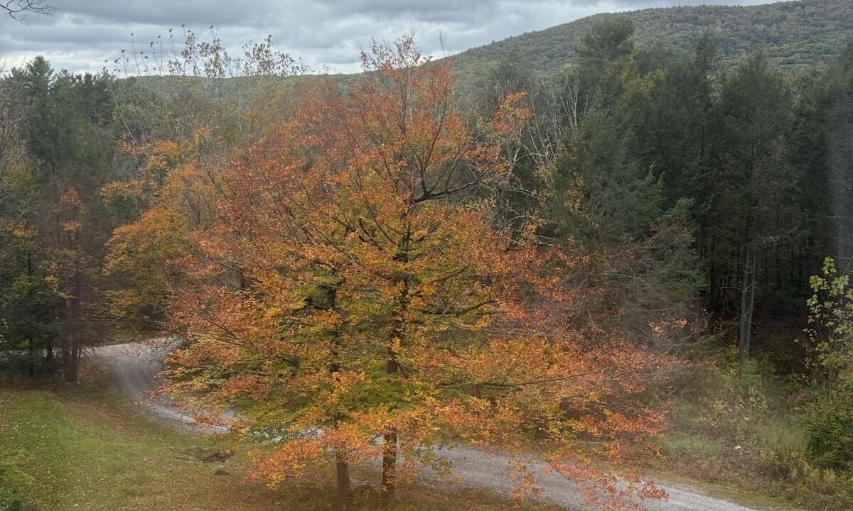 Photo of Others in West Stockbridge
