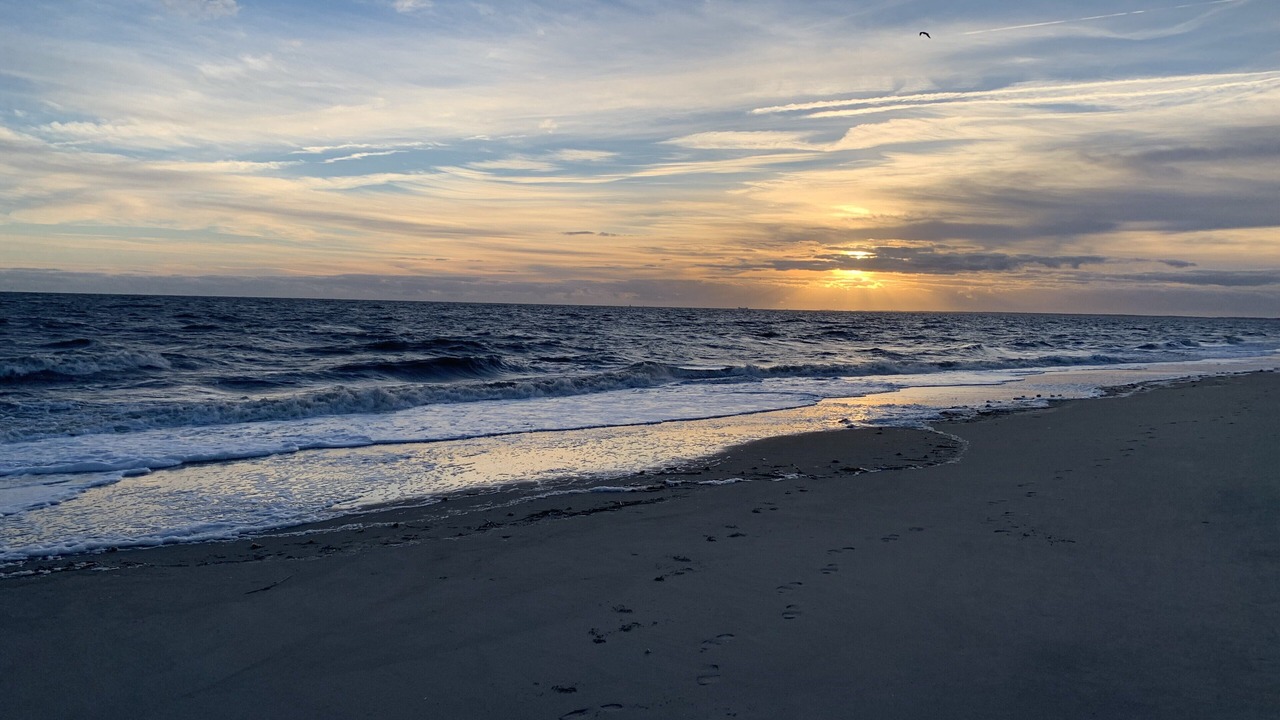 Photo of Others in Broadkill Beach