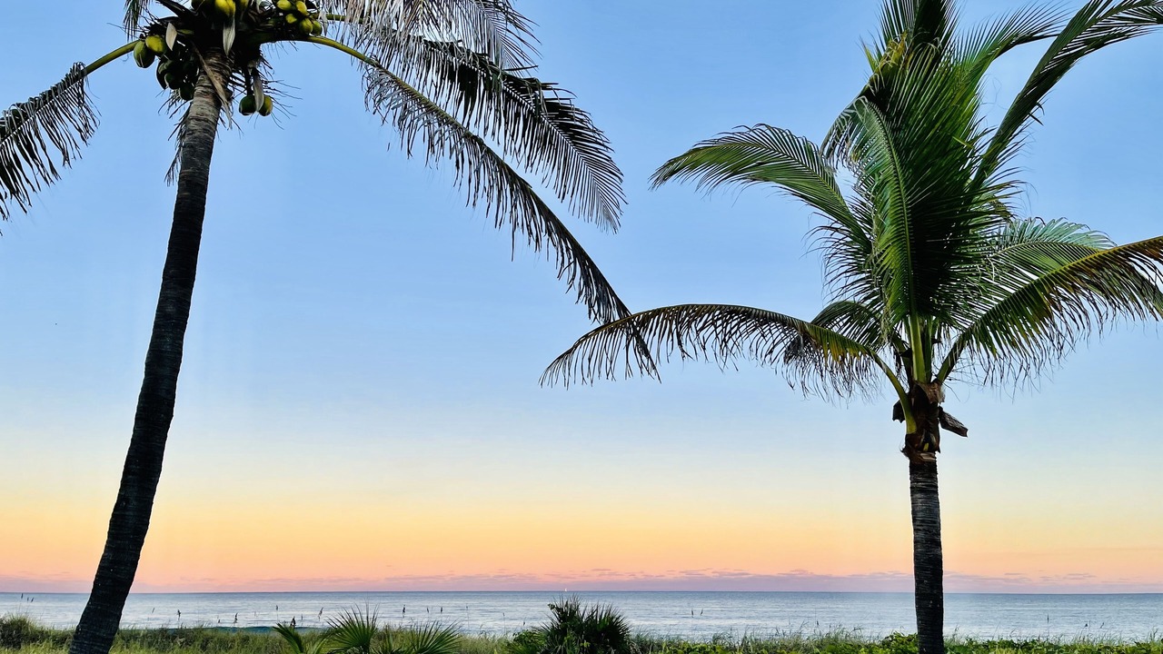 Photo of Others in Delray Beach