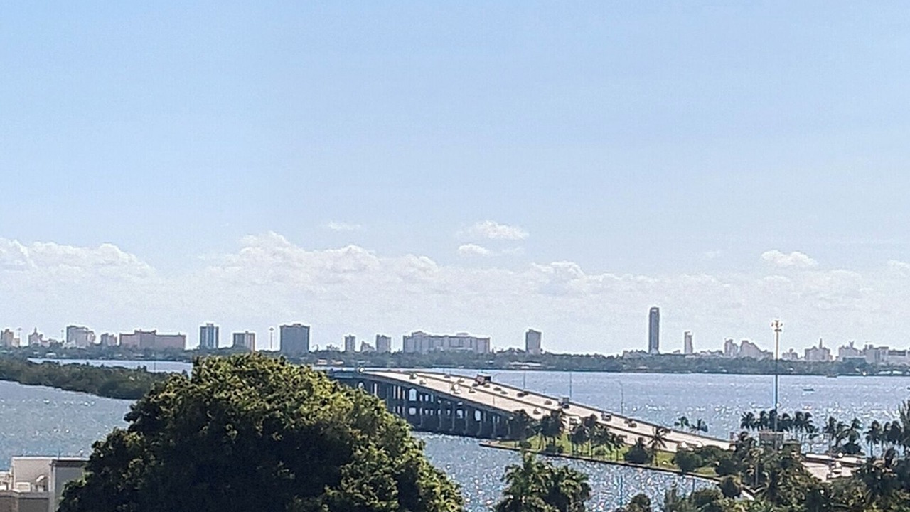 Photo of Others in Northeast Miami