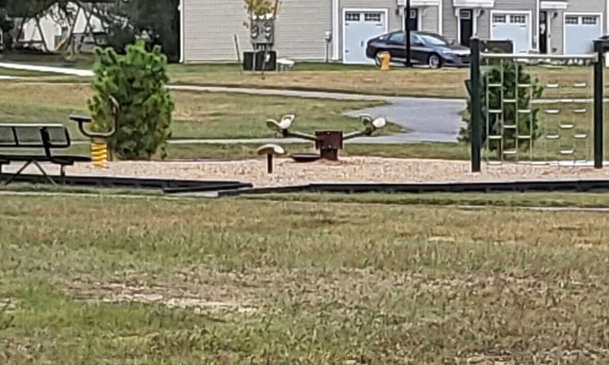 Photo of Outdoor in Milford