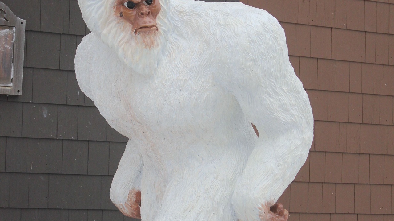 Photo of Outdoor in Edray