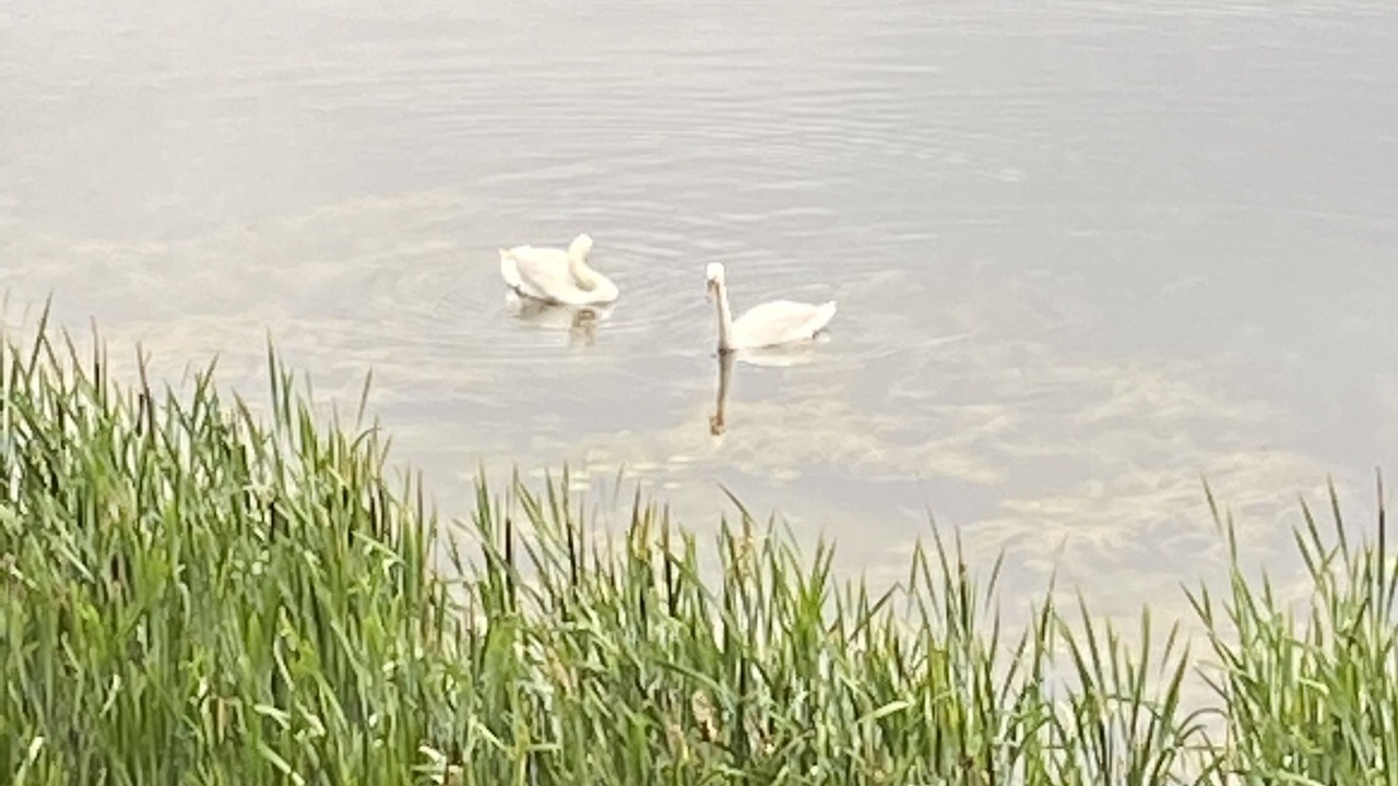 Photo of Others in Valatie