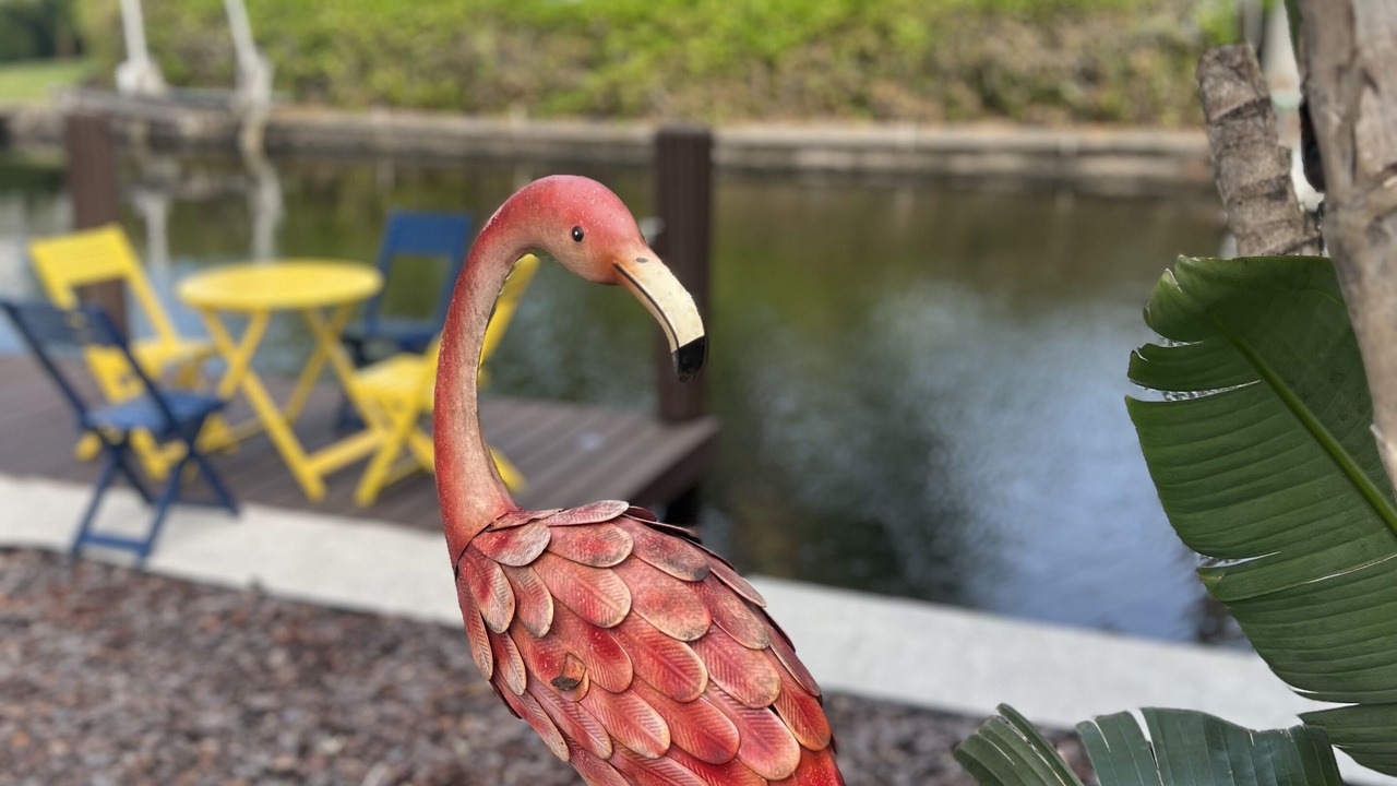 Photo of Others in Downtown Fort Lauderdale
