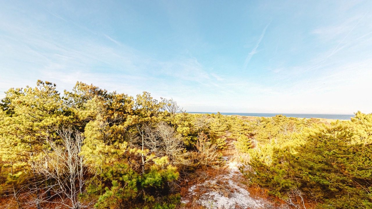 Photo of Outdoor in Bethany Beach