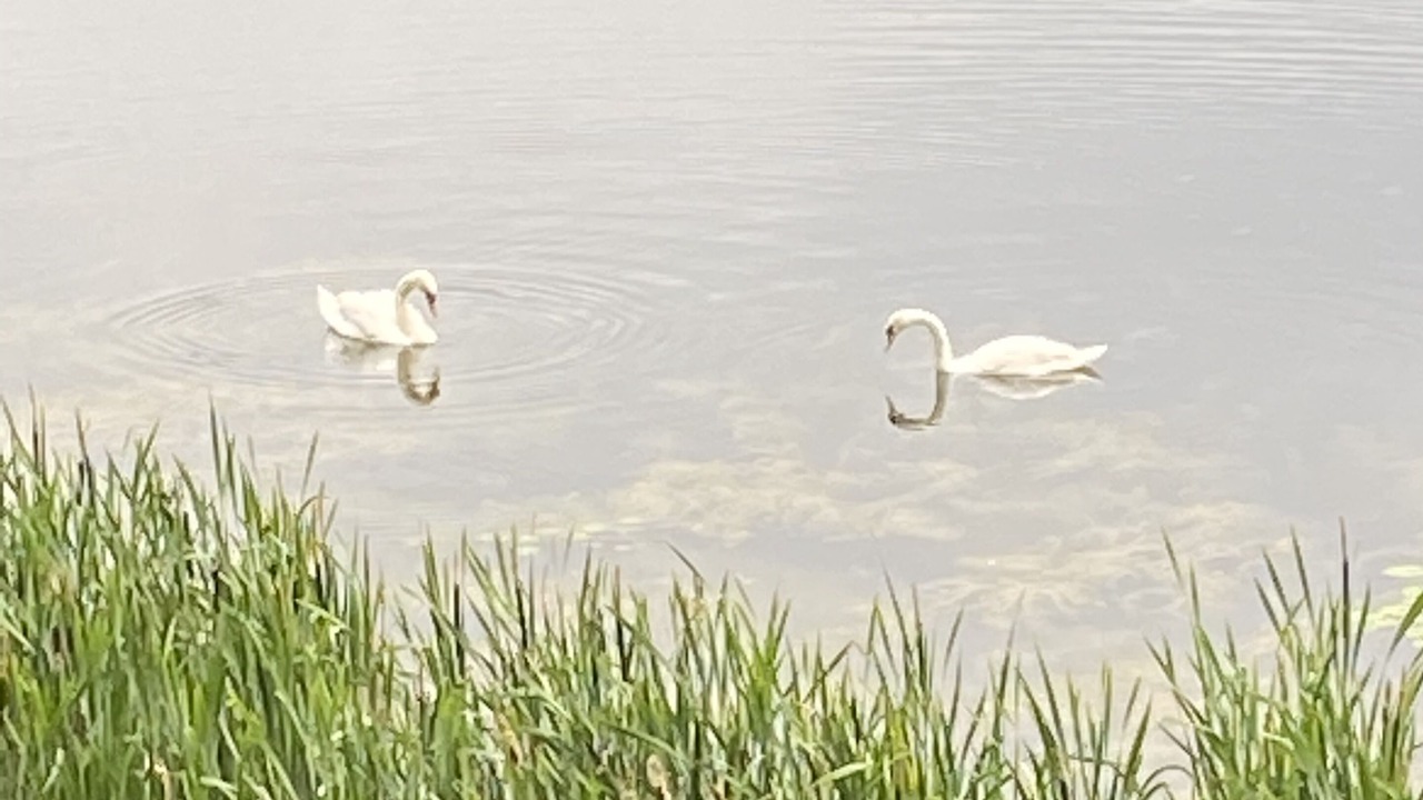 Photo of Others in Valatie