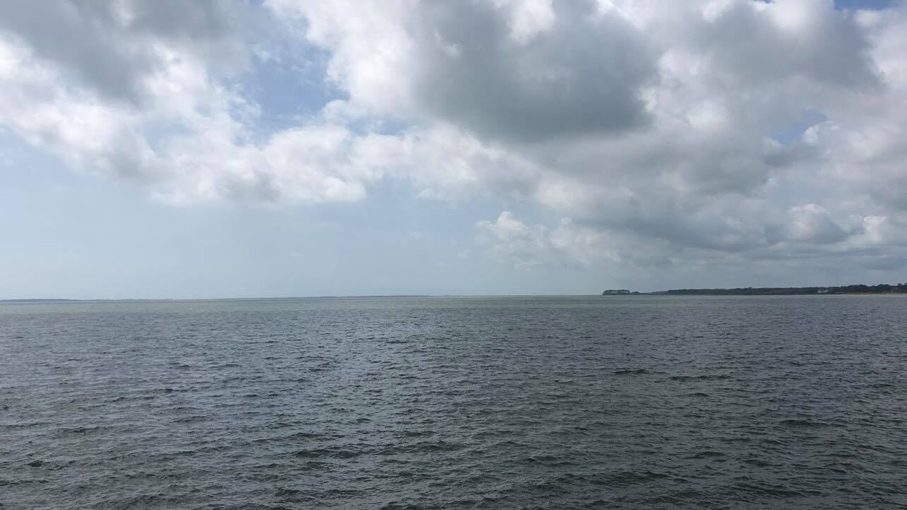 Photo of Others in Captain's Cove