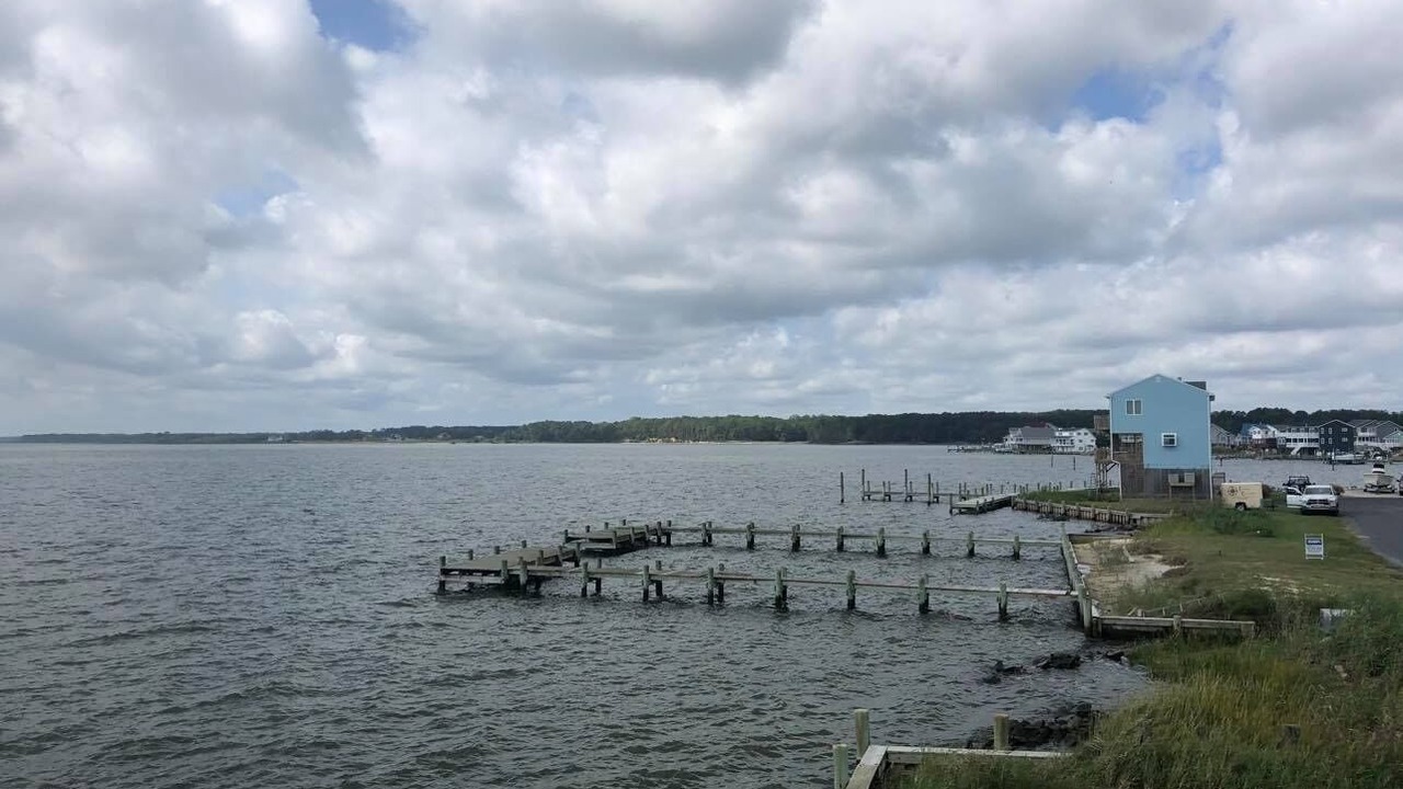 Photo of Others in Captain's Cove
