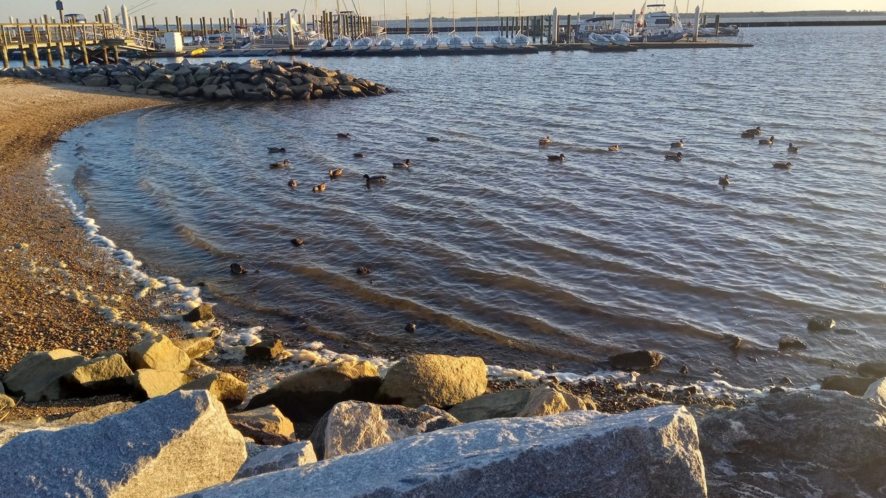 Photo of Others in Kingsmill