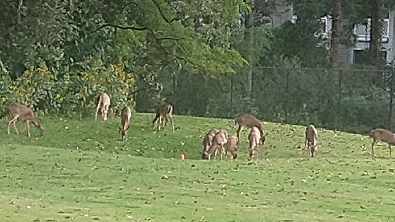 Photo of Outdoor in Kingsmill