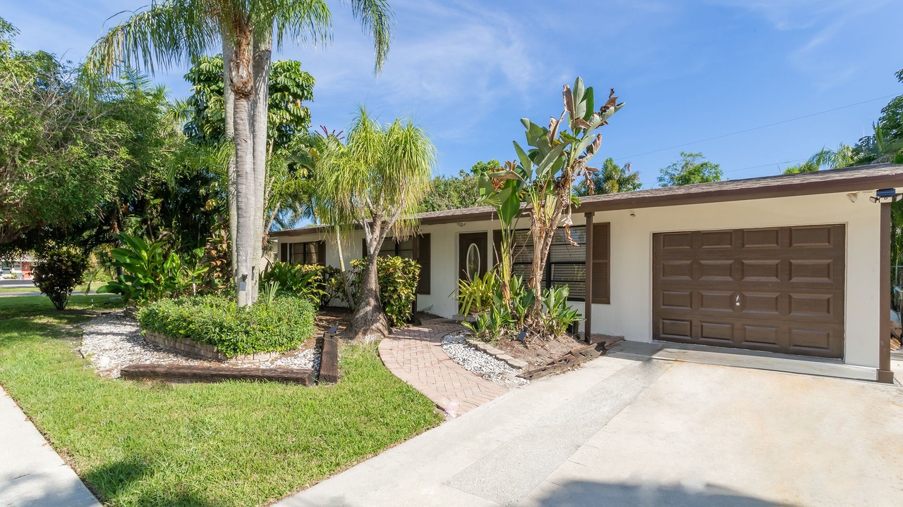 Photo of Outdoor in Tropic Palms