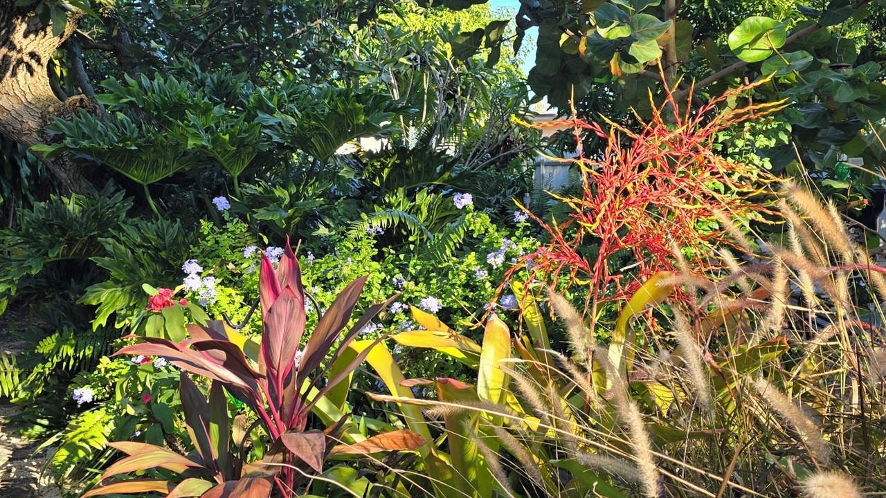 Photo of Outdoor in North Miami Beach