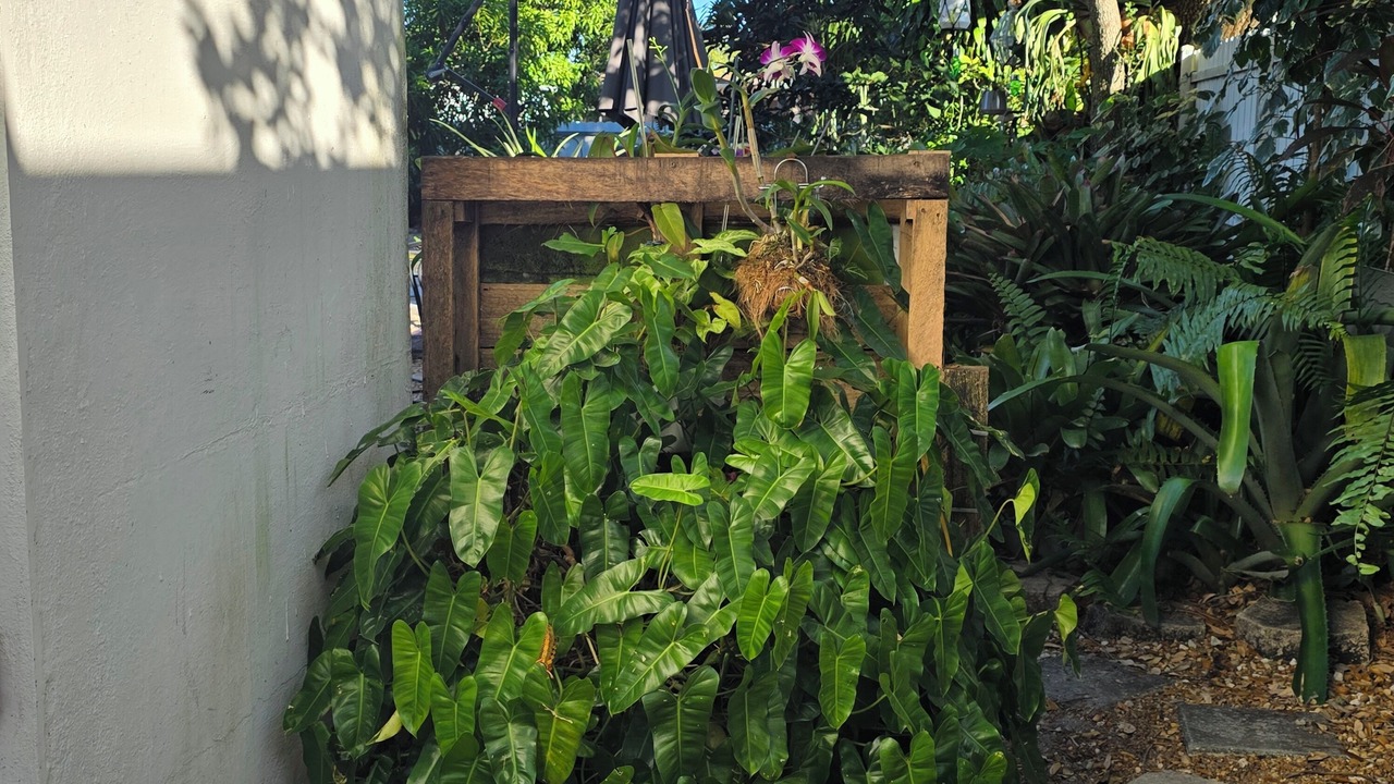 Photo of Outdoor in North Miami Beach