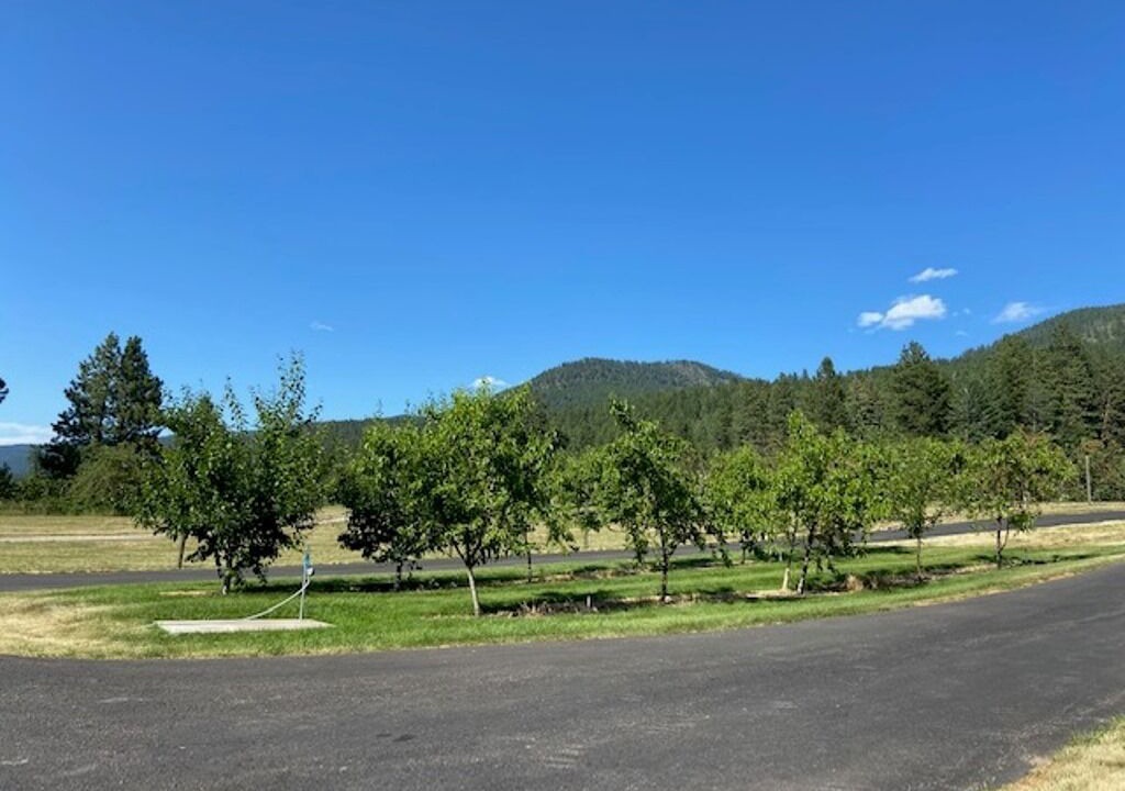 Photo of Others in Bigfork