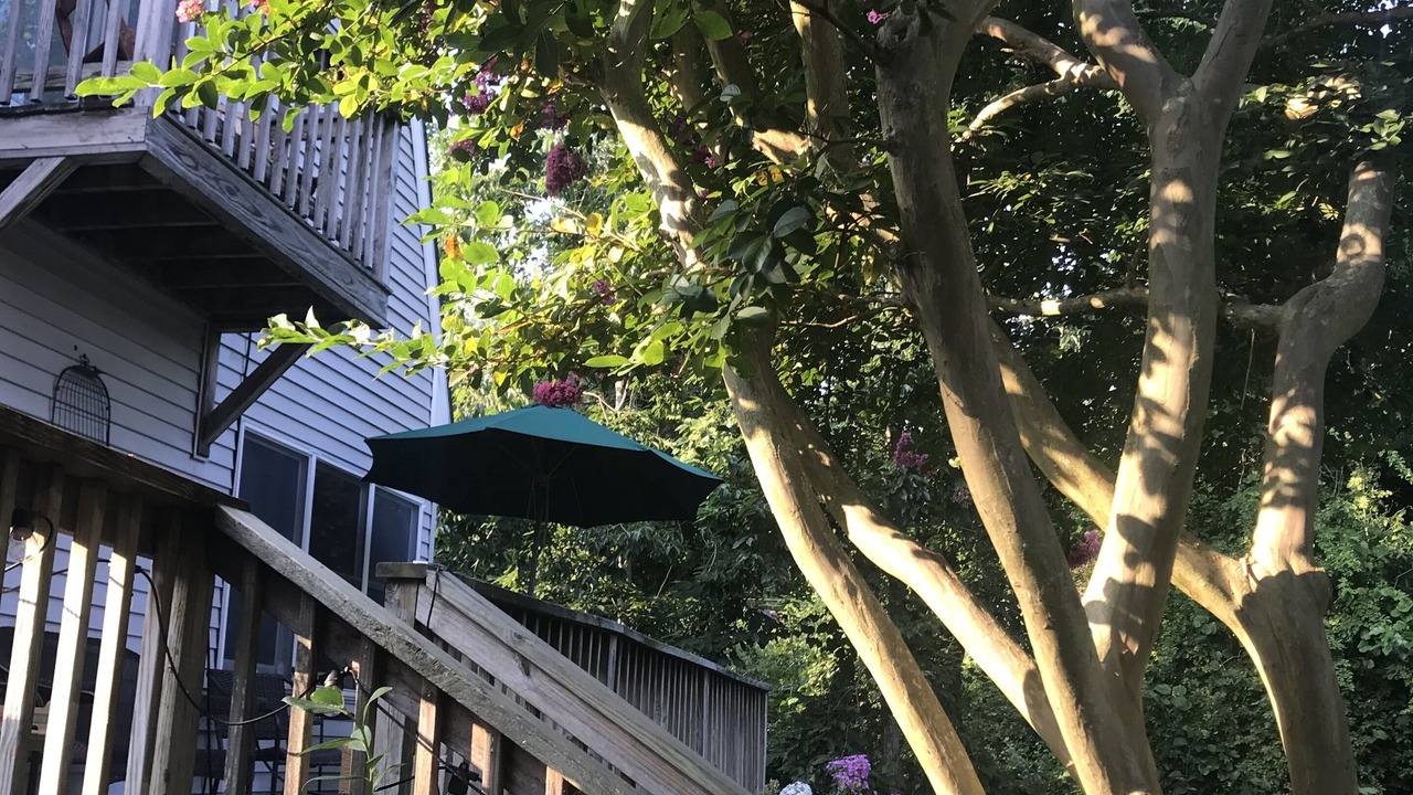 Photo of Outdoor in Cape May Point