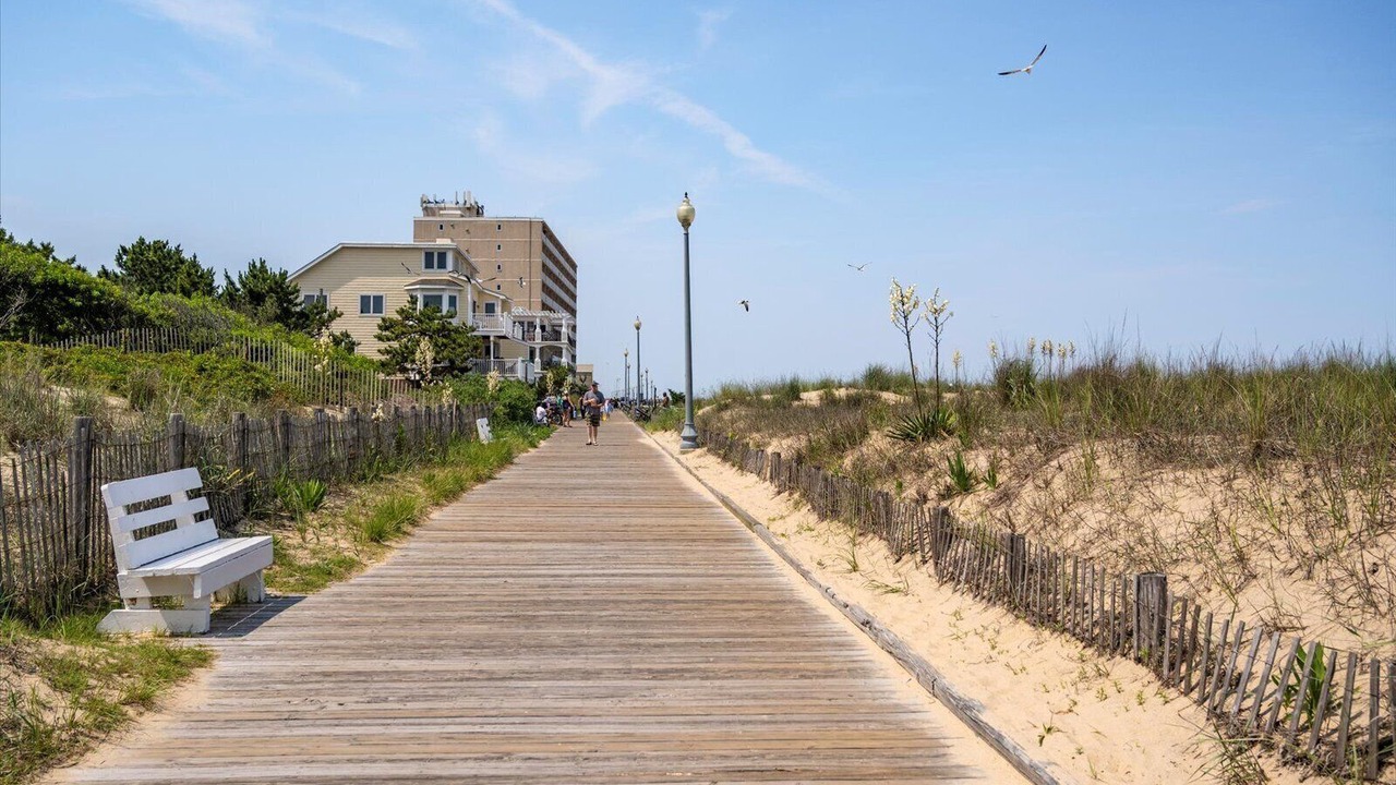 Photo of Others in South Rehoboth