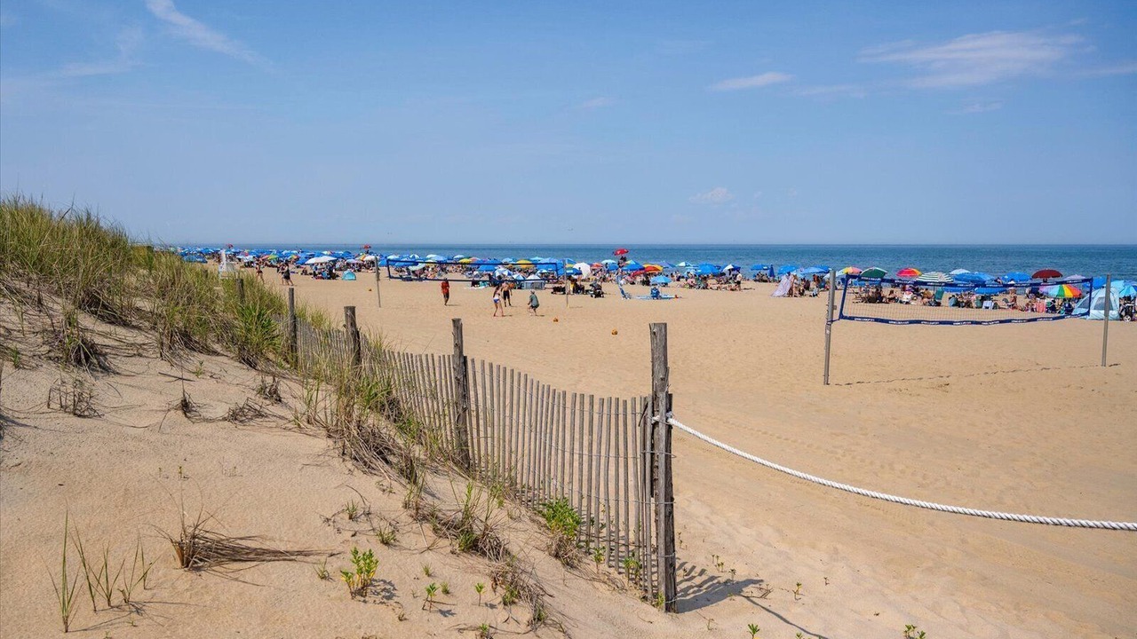 Photo of Others in South Rehoboth