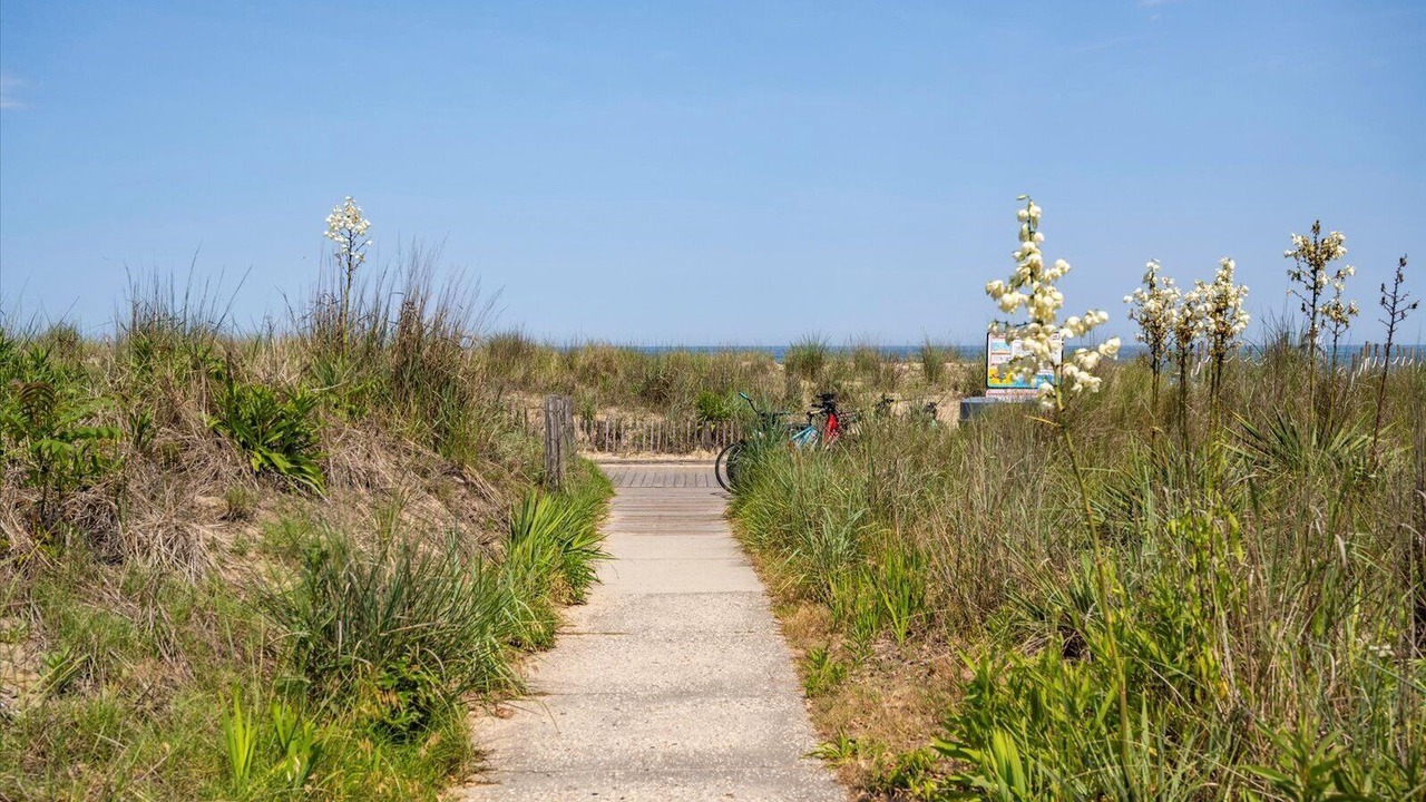 Photo of Outdoor in South Rehoboth