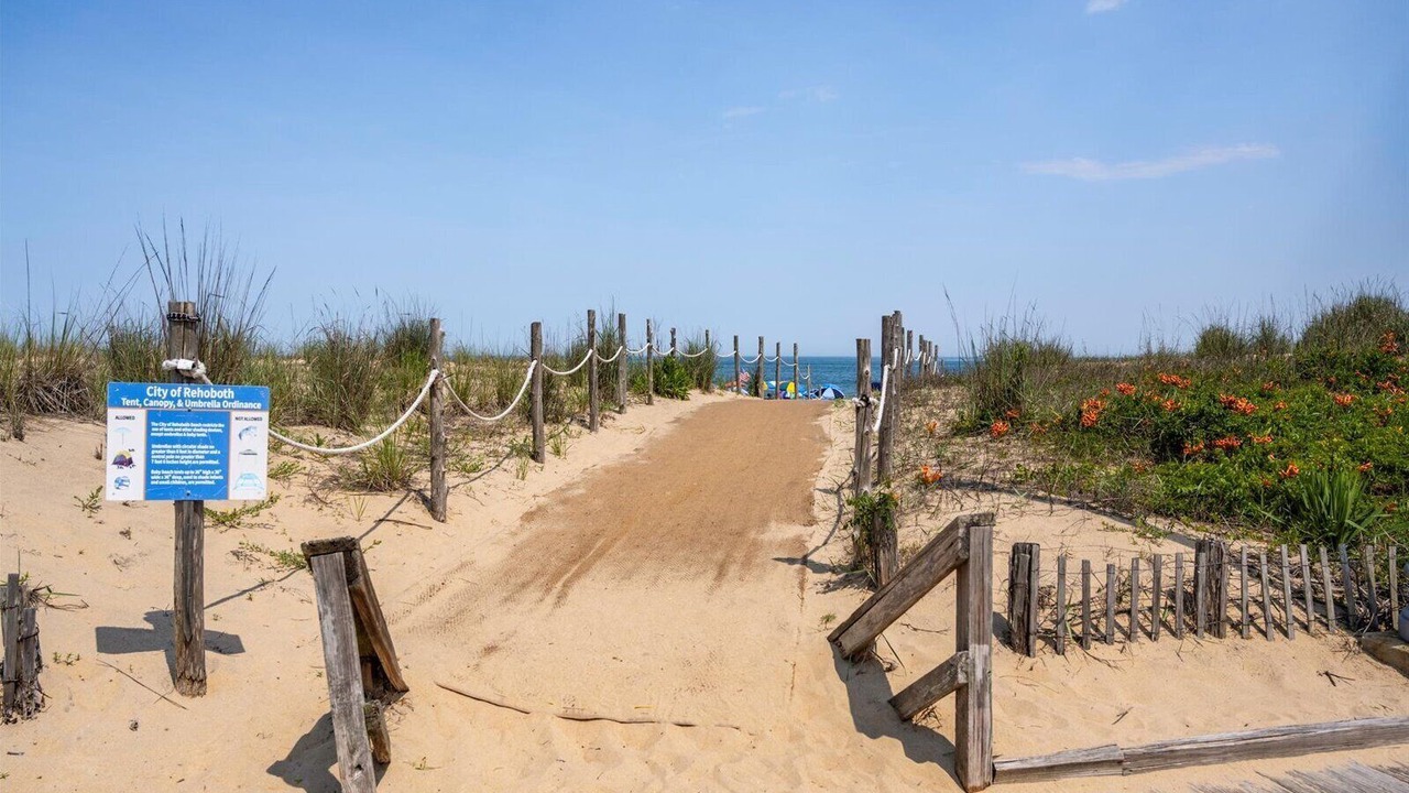 Photo of Others in South Rehoboth