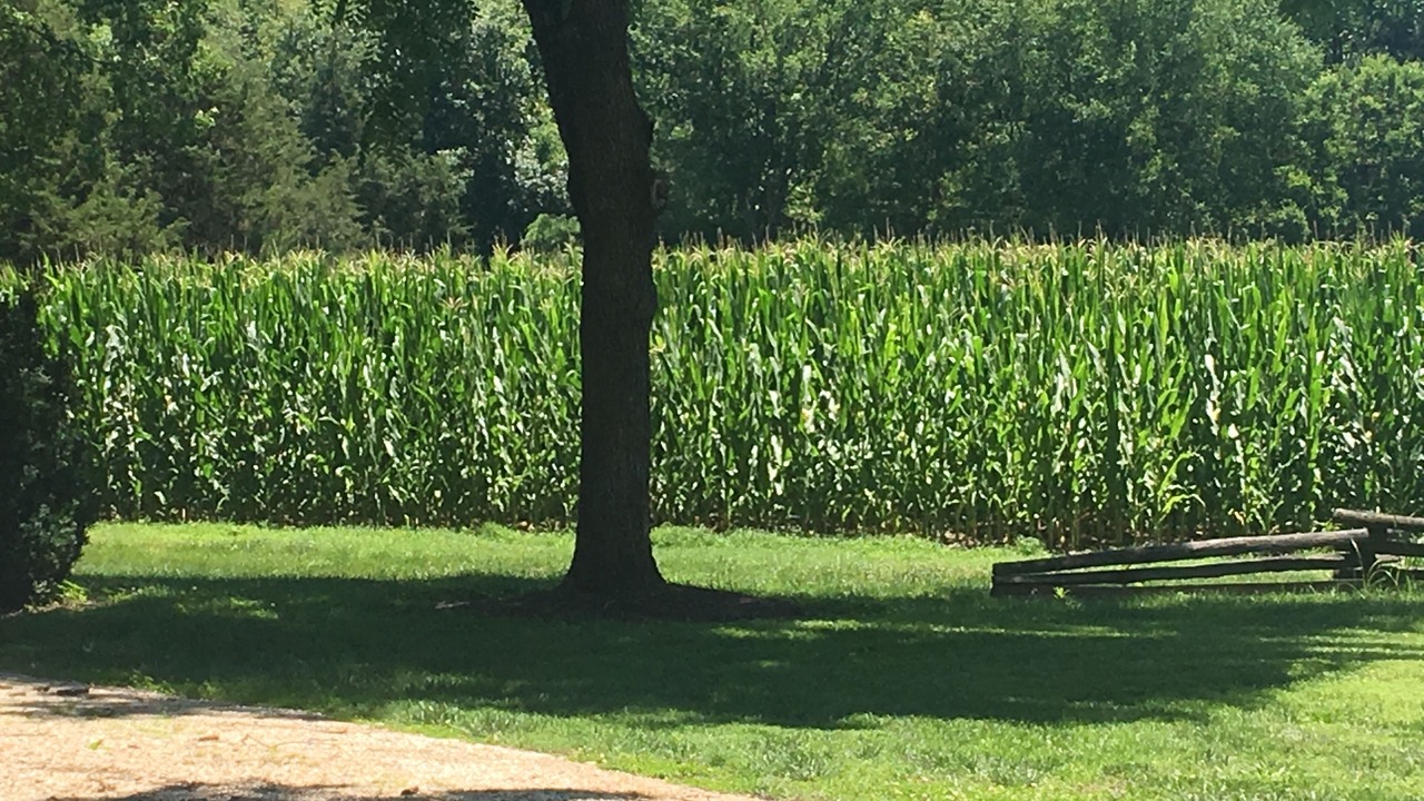 Photo of Outdoor in Sparta