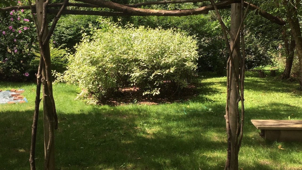 Photo of Outdoor in Bearsville