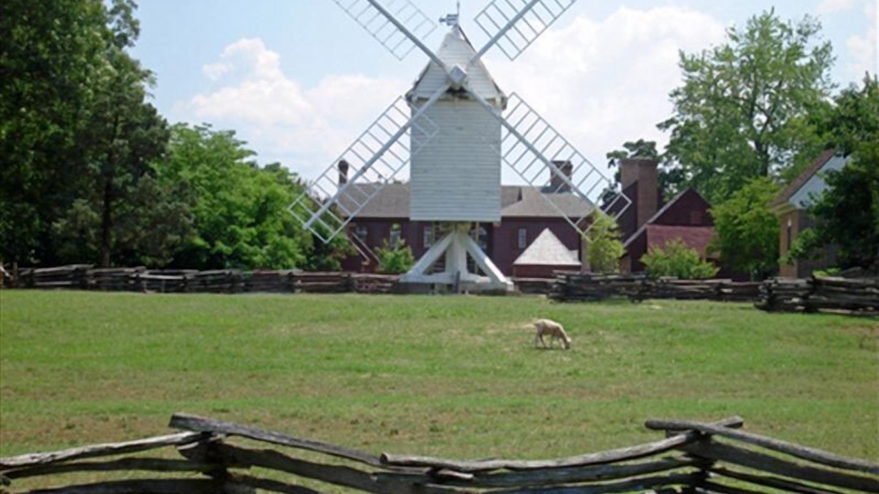 Photo of Others in Williamsburg